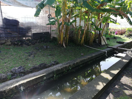 Terreno Urbano En Pedregal De Las Fuentes, Jiutepec, Morelos - Ari-607-tu