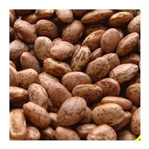 Comprar Everwilde Farms - Semillas De Frijoles Secos Pinto De 1 Lb -