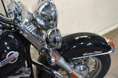 Harley Davidson Heritage 1450 Carburada, Manejo Único
