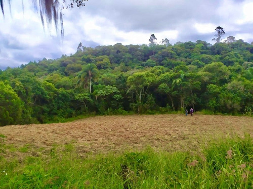 Imagem 2 de 7 de Z7 - Terreno Em Ibiúna ! Mega Oportunidade!