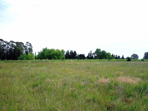 Terreno Lote En Venta En Coronel Suárez, Resto De La Provincia, Buenos Aires