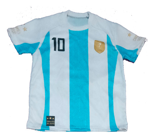 Remera Homenaje Argentina Campeón #10 Nombre Personalizado