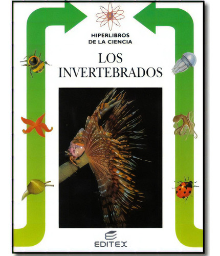 Los Invertebrados Vol. 11: Los Invertebrados Vol. 11, De Giuseppe María Carpaneto. Serie 8471319319, Vol. 1. Editorial Promolibro, Tapa Blanda, Edición 2000 En Español, 2000
