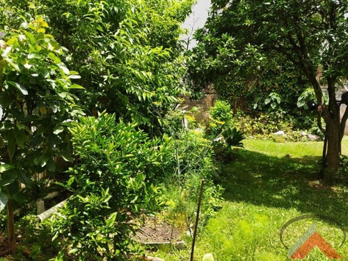 Imagem 4 de 9 de Terreno Com 770,00m² Contendo 03 Casas, Bem Localizada, Próximo De Escolas, Supermercados, Bancos. - 1383 - 70473520