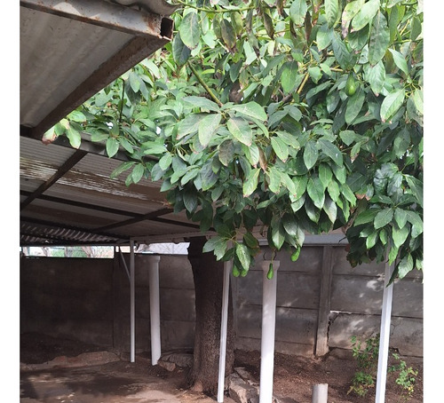 Vendo Casa Sólida A 4 Cuadras Del Centro De Melipilla