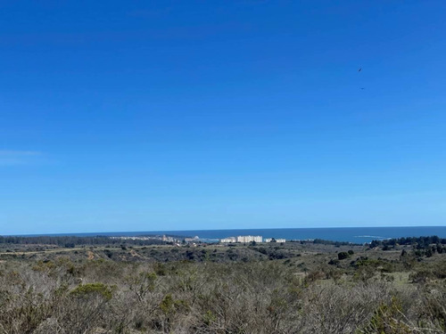 Algarrobo Inversión, 5 Hectáreas A 10 Min Playa Crédito