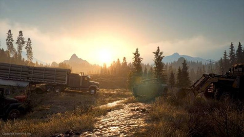 Days Gone Standard Edition Sony Ps4 Físico (Recondicionado)