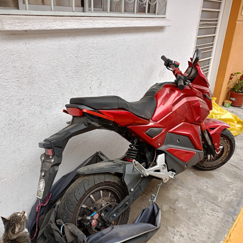 Scooter Zp Champion
