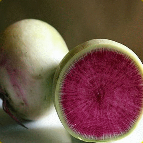 20 Semillas De Rábano Sandia     Raphanus Sativus