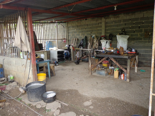 Granja En Cabudare Los Naranjillos, Via El Palaciero