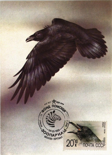 Imagen 1 de 7 de Postal Union Sovietica Zoo Fdc Memorabilia Estampillas 1990