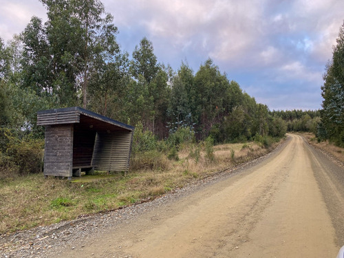 Parcelas En Los Muermos En Proyecto Con Linda Vista