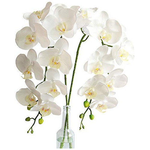 2 Piezas De Tallos De Orquídeas De Toque Real, Flores ...