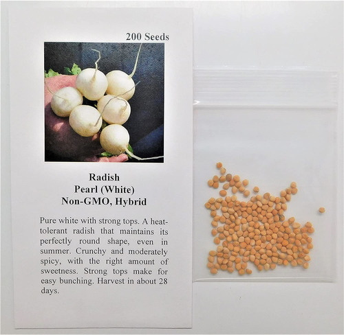 Davids Garden Seeds Radish Pearl 3333 (blanco) 200 Semillas