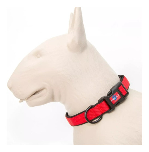 Collar Correa Perro Premium Rascals Reventa X Mayor Petshop 