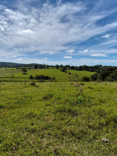 Imagem 12 de 14 de A/a Lotes Com Acesso Fácil À Sorocaba