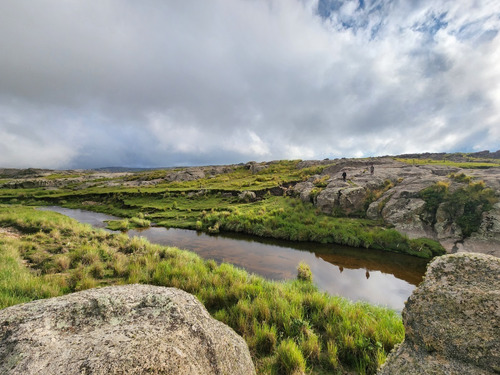 Imagen 12 de 30 de Se Vende Espectacular Fraccion De 70 Hectareas Con Agua, Pastizal, Vistas Unicas, Red 4g Personal En Los Gigantes