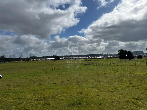Parcela Puerto Octay Circuito Lago Llanquihue