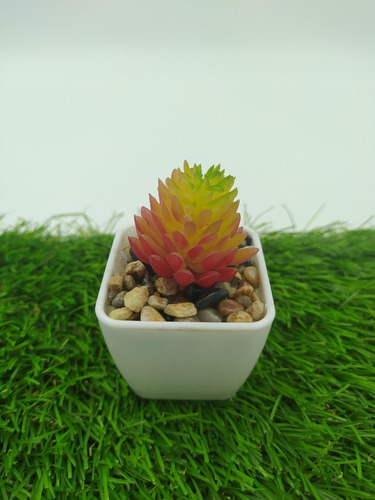 Imagen 9 de 10 de Plantas Artificiales Minimalista