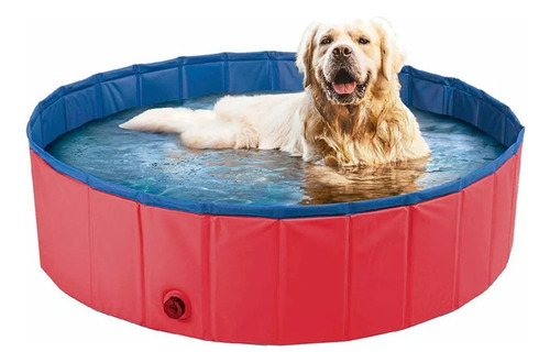 Piscina Para Cachorro Pets Dobrável 120cm X 30cm 250 Litros Cor Vermelho Desenho Liso