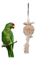 Comprar Juguetes Conure Juguetes De Loro Gris Africano Juguetes Para
