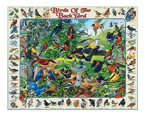 White Mountain Rompecabezas Birds Of The Backyard Puzzle De