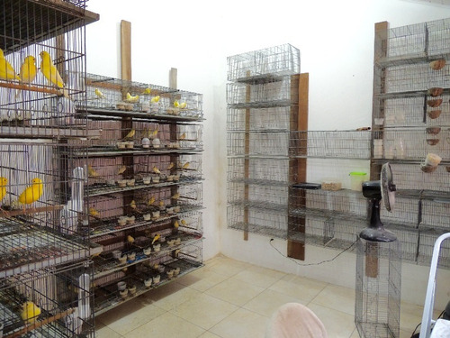 Casa Em Belém Novo Com 3 Dormitórios - Lu265404