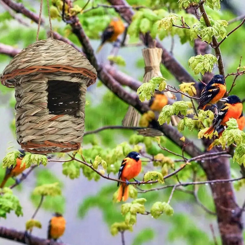 Pacote De Decoração De Jardim Ecológico Feito À Mão Com F