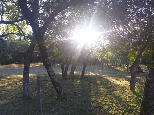Imagen 3 de 4 de Vendo Terreno De 1003 M2 Zona Muy Tranquila Y Hermosa Arbole