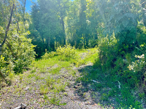 Parcela En Caburgua Con Bosque Nativo