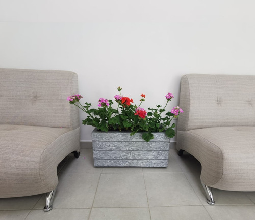 Imagen 4 de 6 de Maceta Minimalista Jardinera Mejor Que Fibra De Vidrio .120