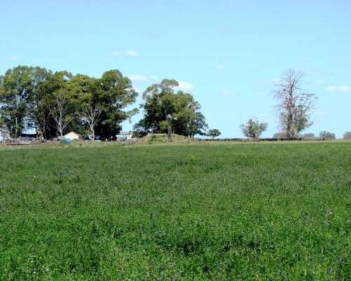 Imagen 1 de 1 de Sc709 Campo Agrícola En Rosario.