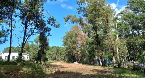 Imagen 11 de 17 de Lote En Venta En La Barra (ref: Atm-6651)