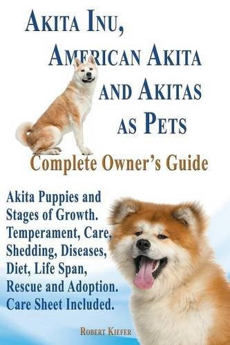 Akita Inu American Akita Y Akitas Como Mascotas Akita Cachor