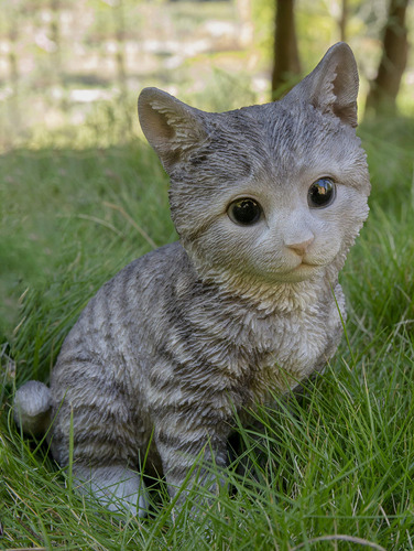 Cabeza Inclinante Gris Atigrado Gatito Sentado