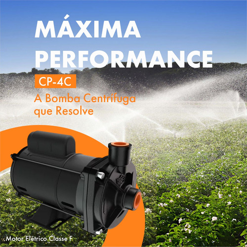 Bomba Centrífuga Cp 4c Dancor 1/4cv Residencial Predial
