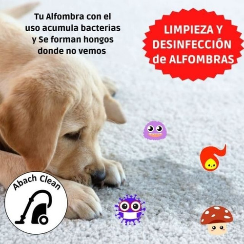 Imagen 2 de 11 de Limpieza De Alfombras,sillones,carpetas. 36 Años Respaldan
