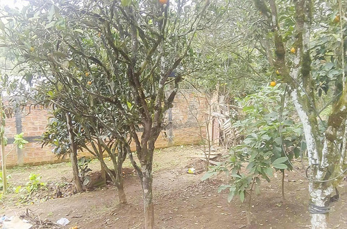 Imagem 11 de 20 de Terreno - Residencial - 934654