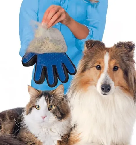 Gloves to brush dog's hair hotsell