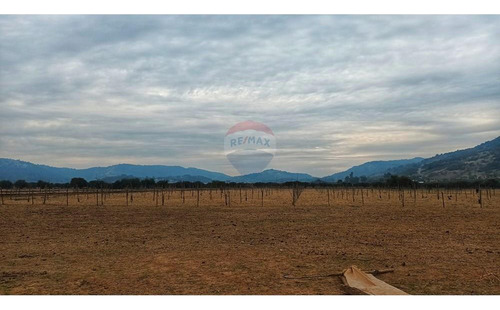 Terreno En Colchagua
