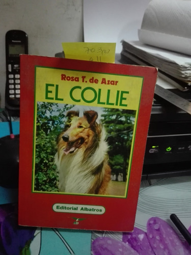 El Collie // Rosa De T. Azar