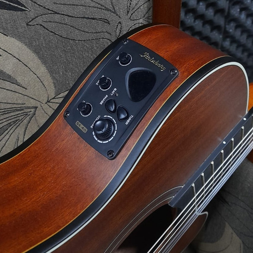 Imagem 5 de 9 de Violao Strinberg Sl200c Mgs Flat Nylon Fosco