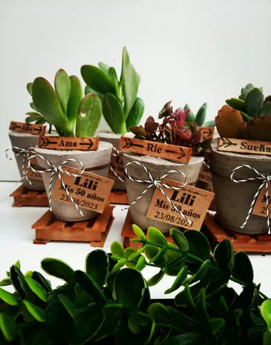 Apliques /imán 10 souvenirs cactus suculentas porcelana fría