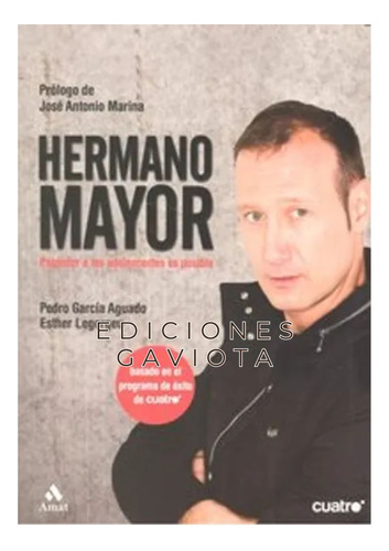 Libro Hermano Mayor  Entender A Los Adolescentes