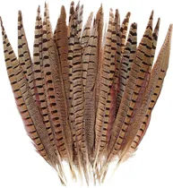 Comprar Plumas De Faisán Naturales Con 10 Plumas 20-25cm