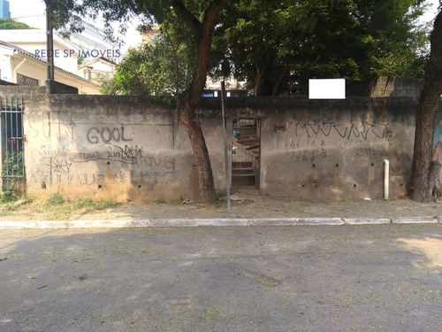 Imagem 3 de 3 de Terreno A Venda No Bairro Vila Carmosina Em São Paulo - Sp. - 1247-1