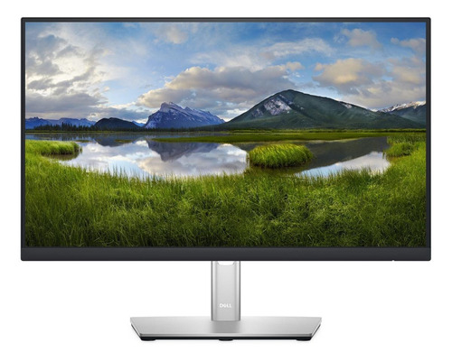 Imagen 1 de 5 de Monitor Dell P Series P2222H LCD 22" negro 100V/240V