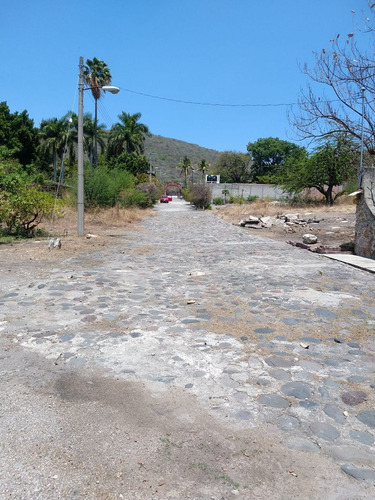 Tlaltizapan Morelos Carretera Yautepec - Jojutla