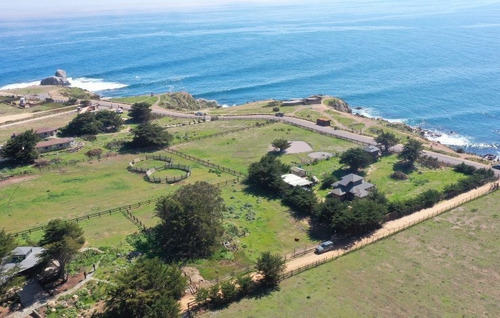Pionero - Mirador Punta De Lobos