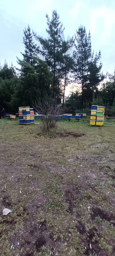 Se Vende Hermosa Parcela, De 5000 Mts 2, Parcela 51, Sector 